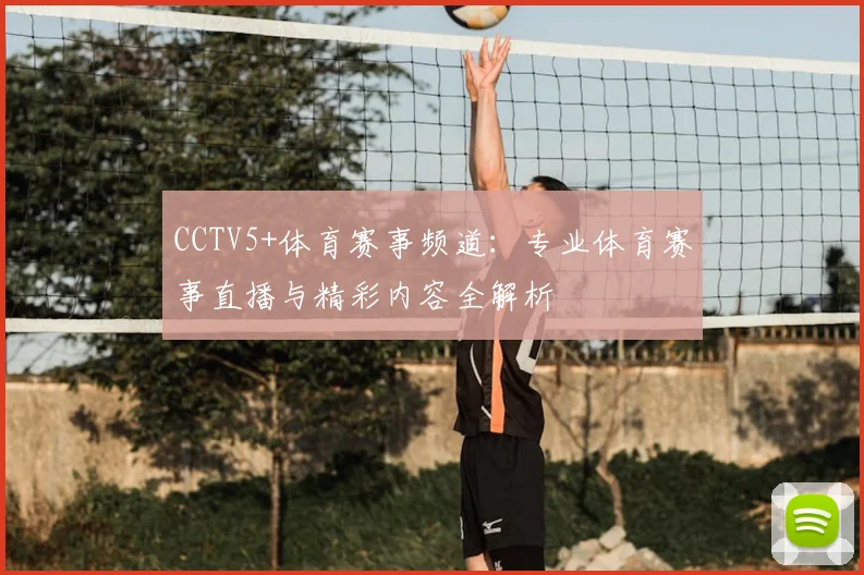 CCTV5+体育赛事频道：专业体育赛事直播与精彩内容全解析
