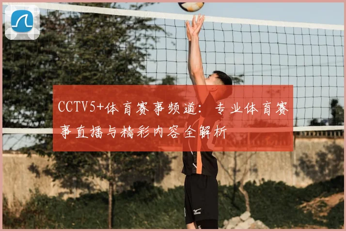 CCTV5+体育赛事频道：专业体育赛事直播与精彩内容全解析